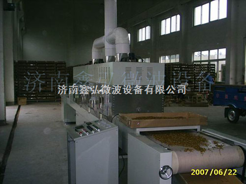 中药丸微波干燥设备
