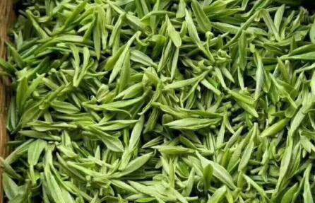 《鶴峰出口綠茶》團(tuán)標(biāo)正式實(shí)施
