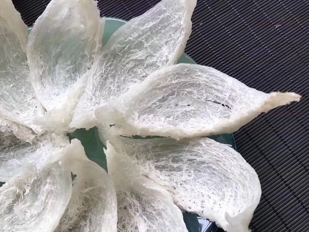 中國標(biāo)準(zhǔn)化研究院提出的《食用燕窩 產(chǎn)品規(guī)范》ISO國際標(biāo)準(zhǔn)成功立項