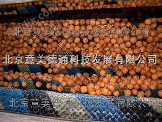 核桃清洗機(jī)現(xiàn)場(chǎng)演示