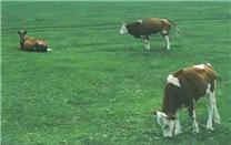 ���ͺ������г���ܾ־��ü����������־ֿ�չţ���������־֪ʶ��Ȩר����