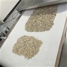 葵花籽微波烘烤設(shè)備 南瓜子微波熟化機(jī)