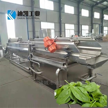 气泡蔬菜清洗机